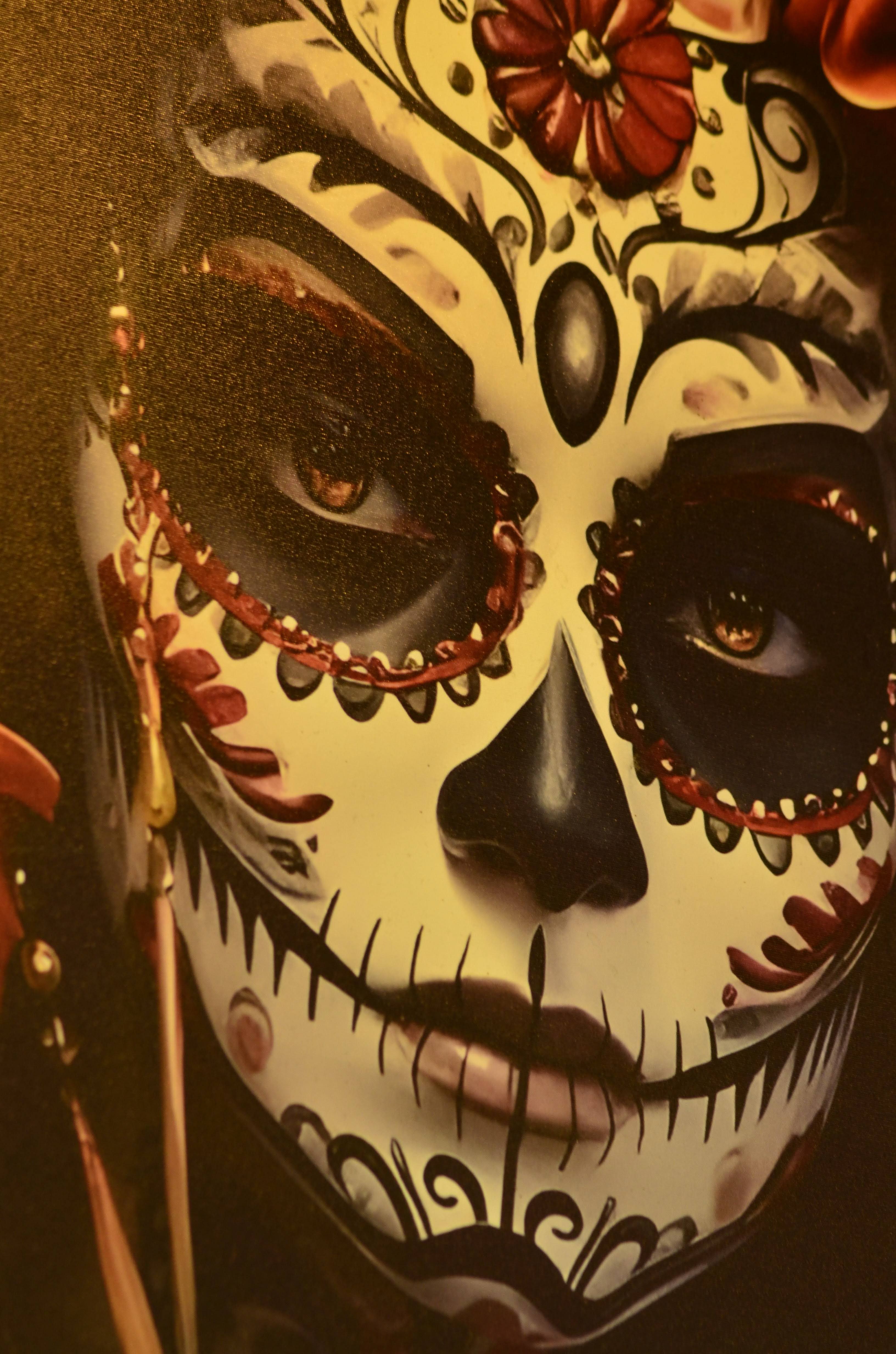 Querida — Tuesday Unlimited Tacos night